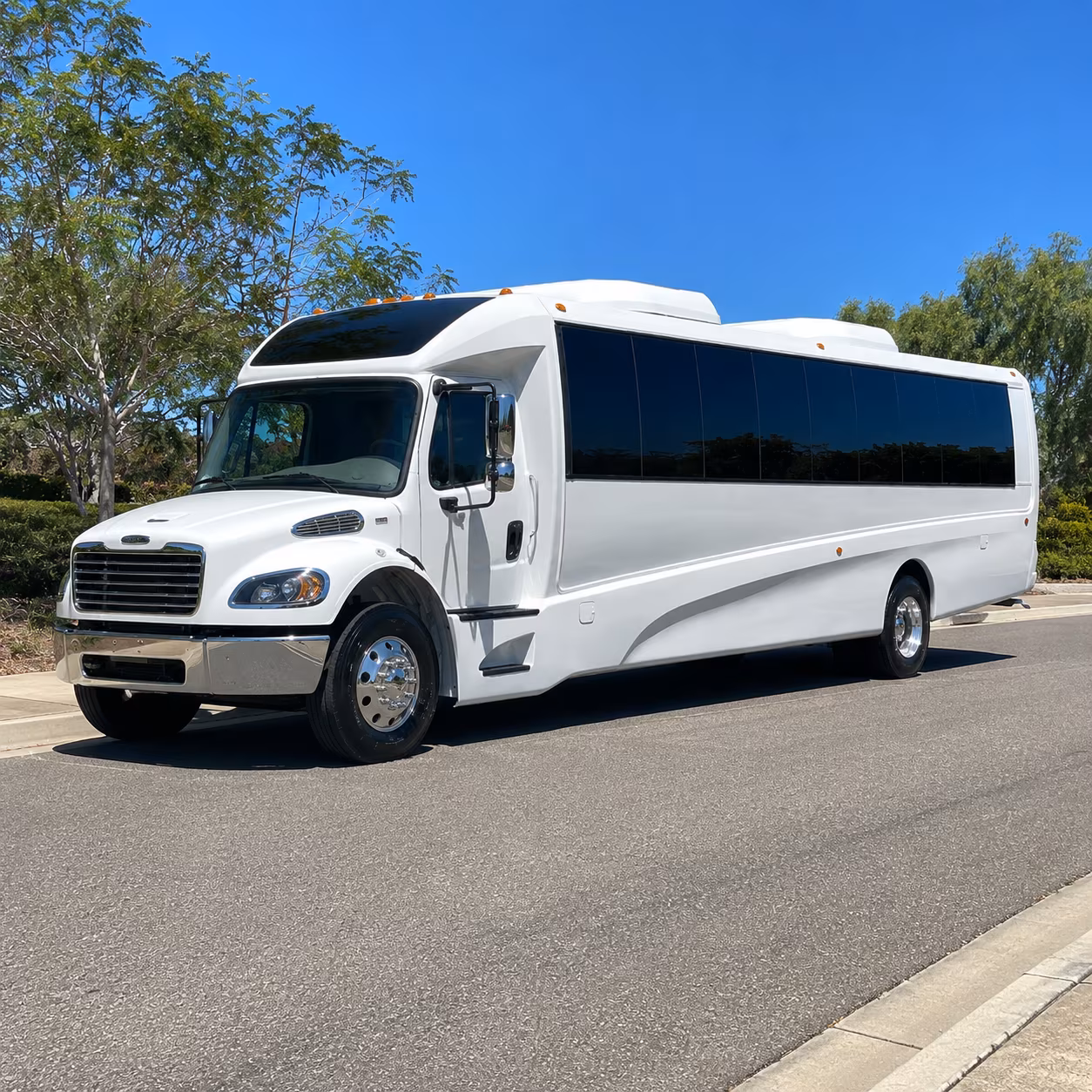 redondo beach 15 passenger minibus