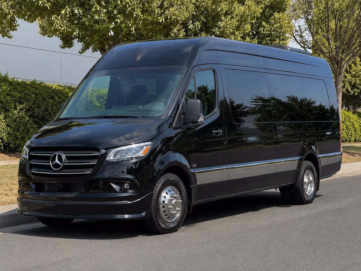 redondo beach sprinter van with driver